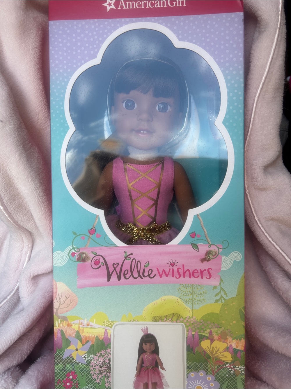 American Girl WellieWishers Doll Ashlyn new in box.